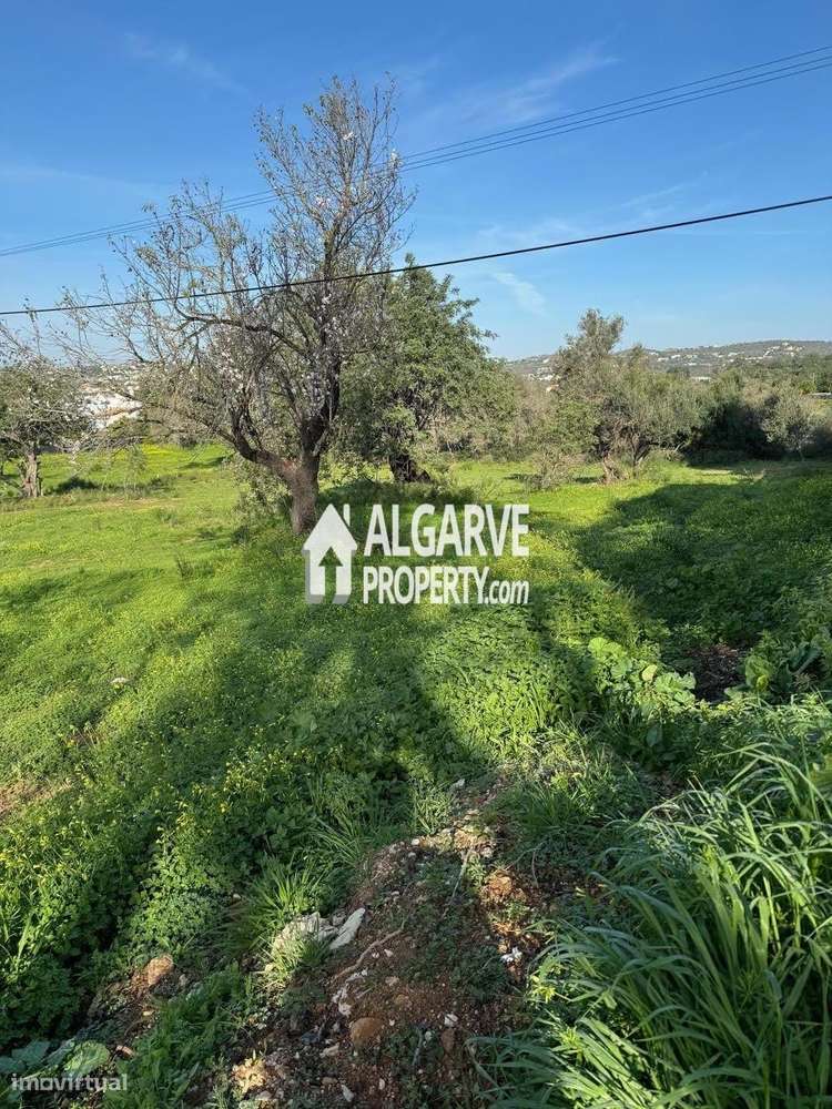 Lote de terreno junto a Vilamoura - Grande imagem: 2/19