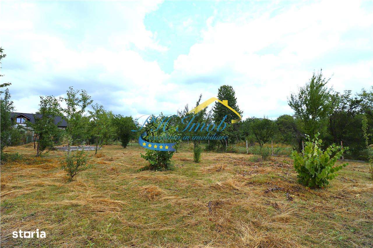 Teren Intravilan de vanzare, Campina - Imagine principală: 4/6