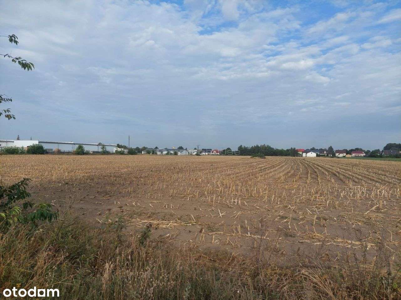 Działka w Głogowie 9322 m2 gmina Lubicz - Pełny obrazek: 5/7