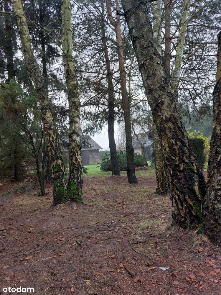 Ranczo blisko Białegostoku/agroturystyka - Pełny obrazek: 4/20