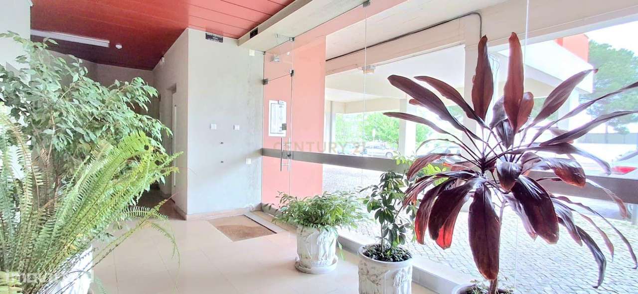 Apartamento T3 na Rua Tomás Alcaide-28