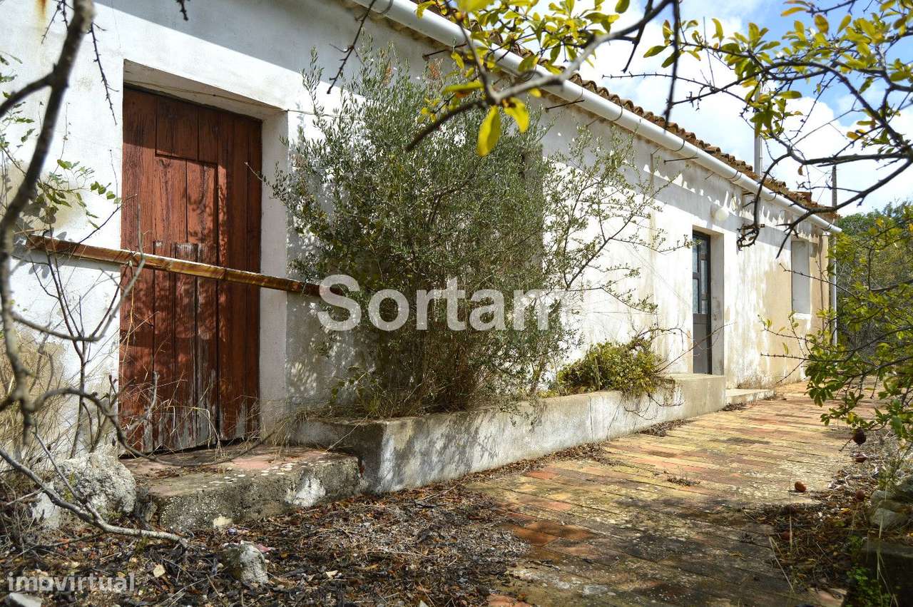 Terreno Para Construção  Venda em Boliqueime,Loulé - Grande imagem: 2/8