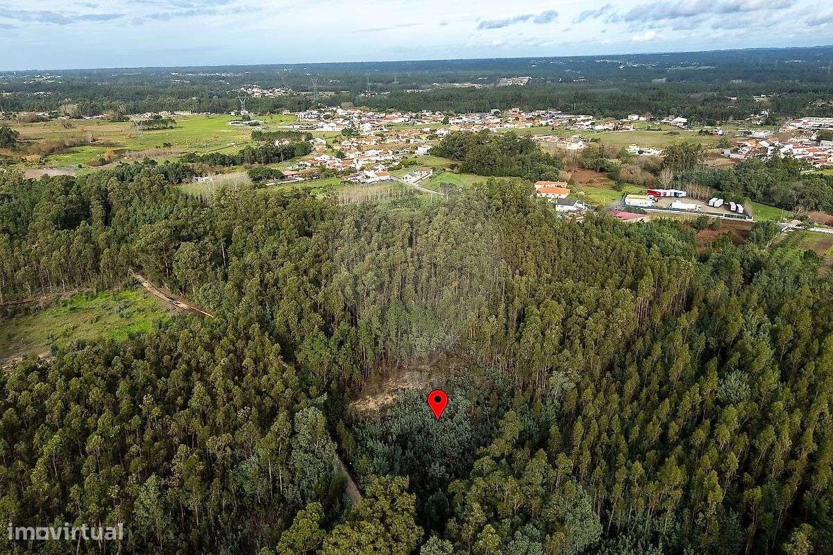 Terreno  para venda - Grande imagem: 3/12