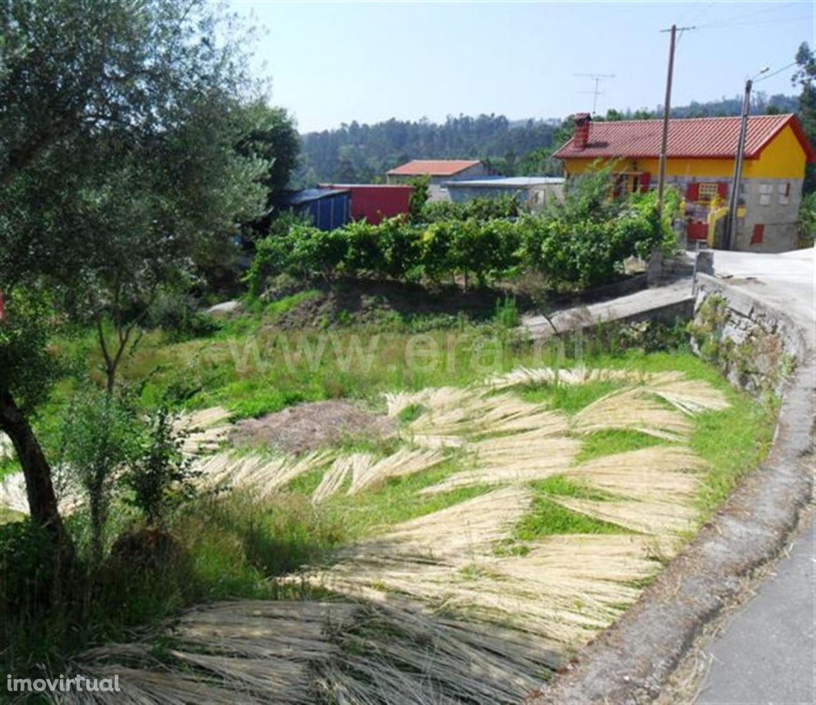 Fafe, Terreno