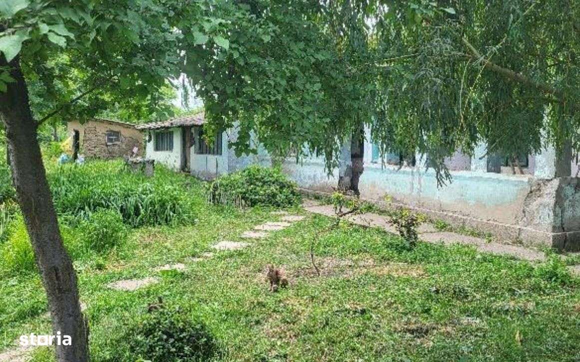 Casa si teren, loc Dragalina, Jud. Calarasi-03.03 - Imagine principală: 4/6