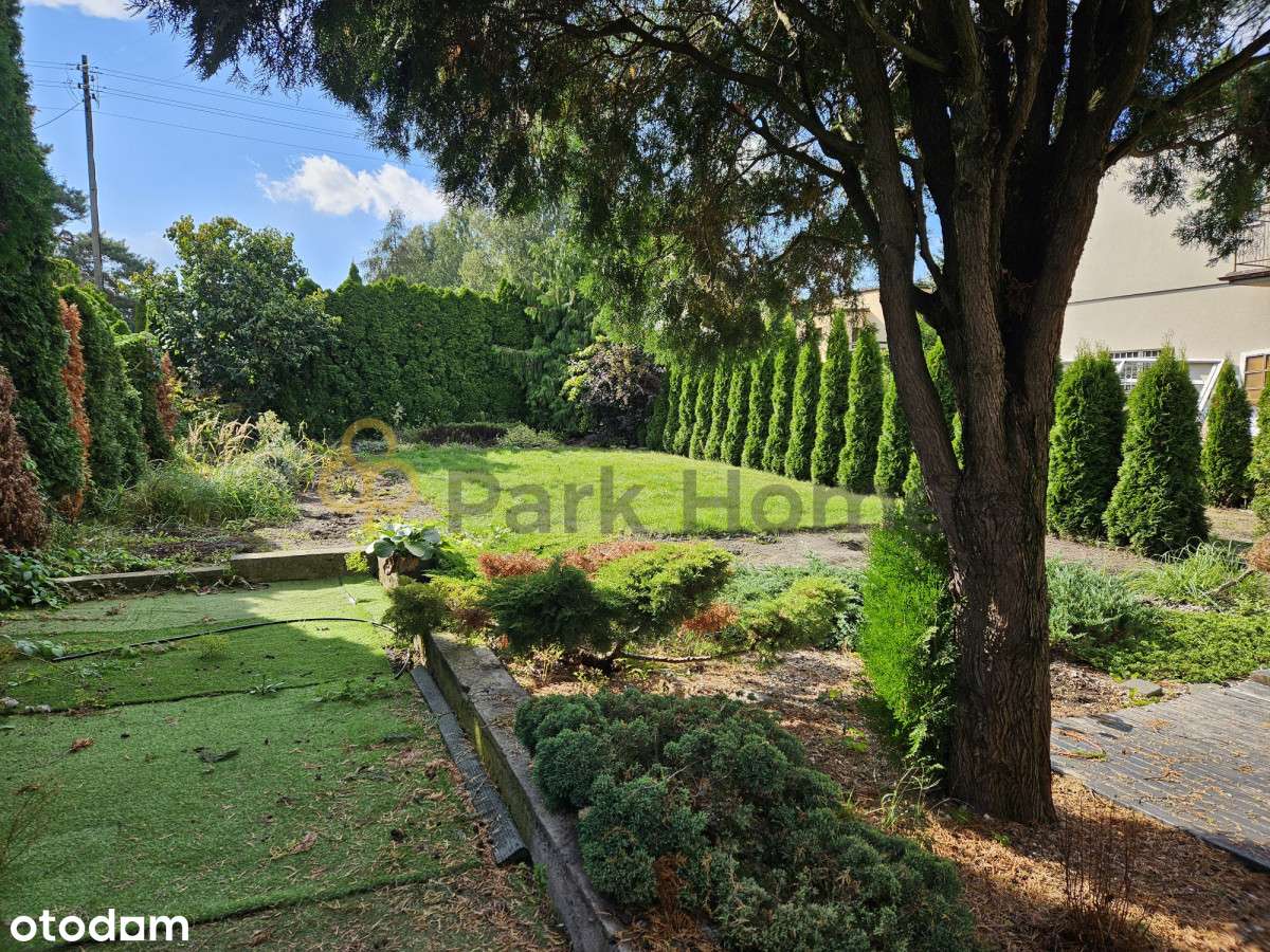 W centrum Przeźmierowa - Pełny obrazek: 2/7