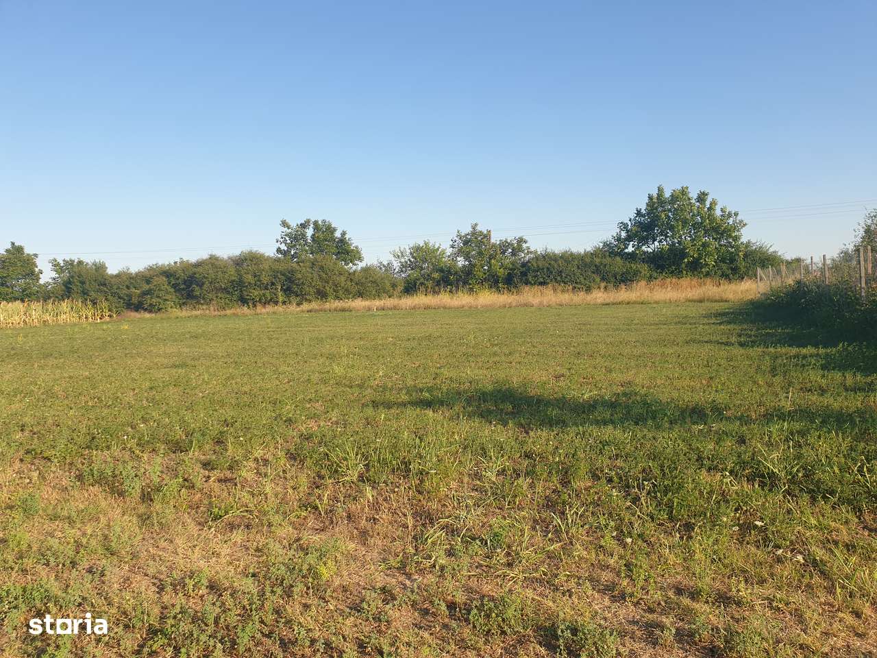 Vanzare teren suprafata de 720 mp. Zadareni - Bodrogul Nou - Imagine principală: 4/7