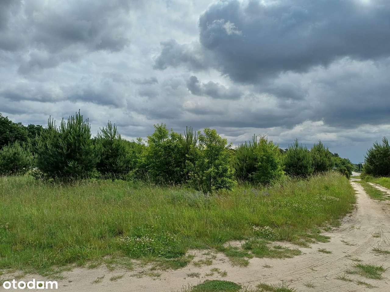 Wyjątkowa działka w otoczeniu lasu  - ul. Wyspiańskiego-6