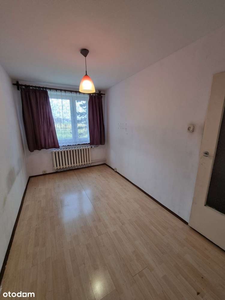 Techników, 3 pokoje, taras, garaż, parter! - Pełny obrazek: 2/8