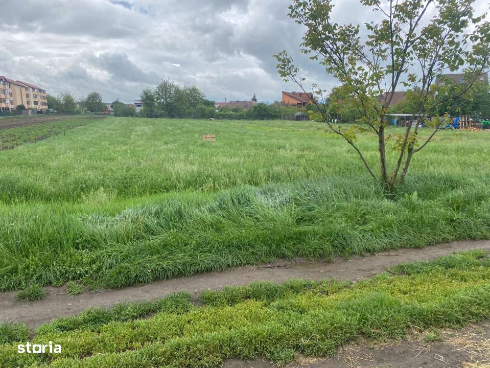 Teren intravilan in Sibiu, 2200 mp, Certificat de Urbanism - Investiti-0
