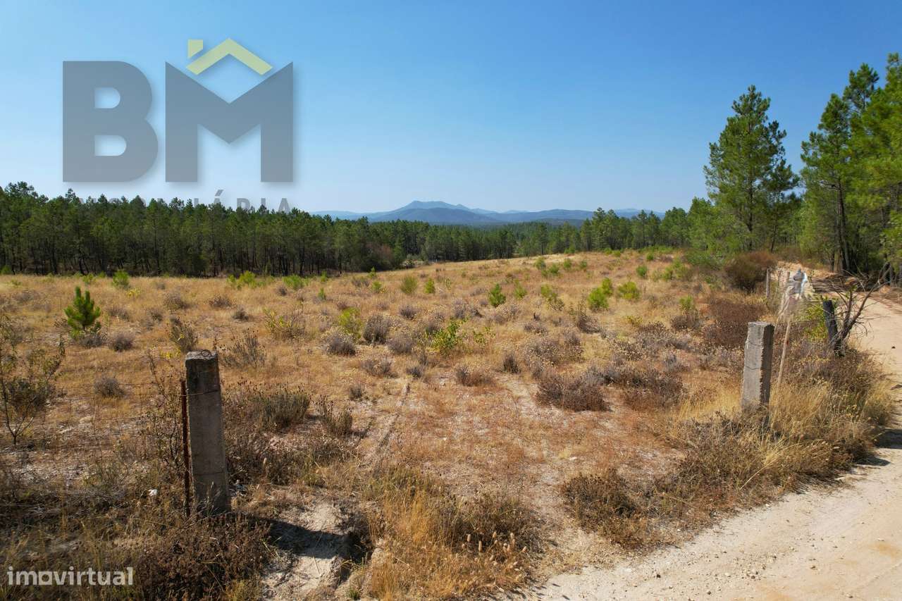 Terreno Rústico  Venda em Sarzedas,Castelo Branco - Grande imagem: 5/12
