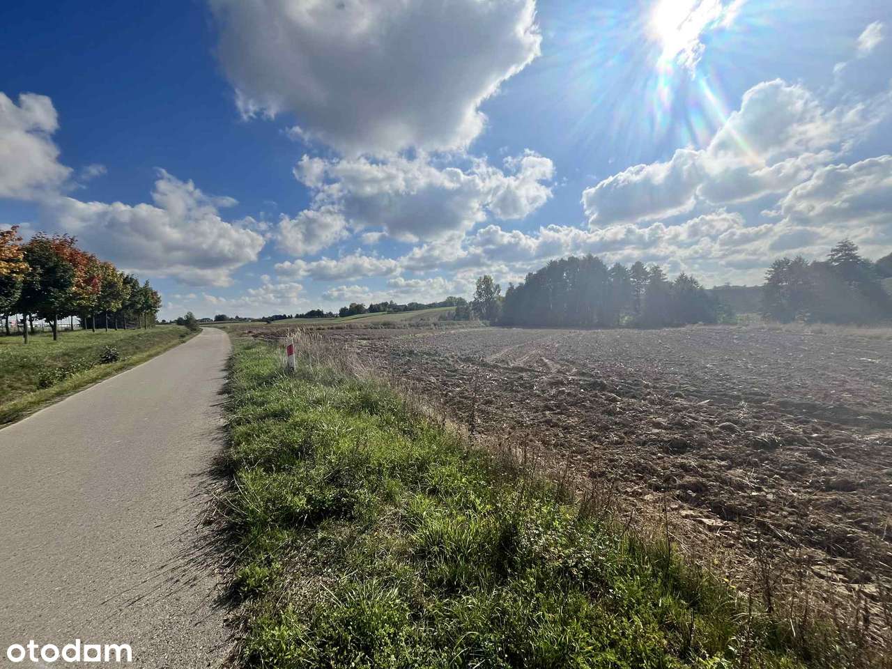 Działka rolna  – Panieńszczyzna, gm. Jastków- 12 850 m²-8