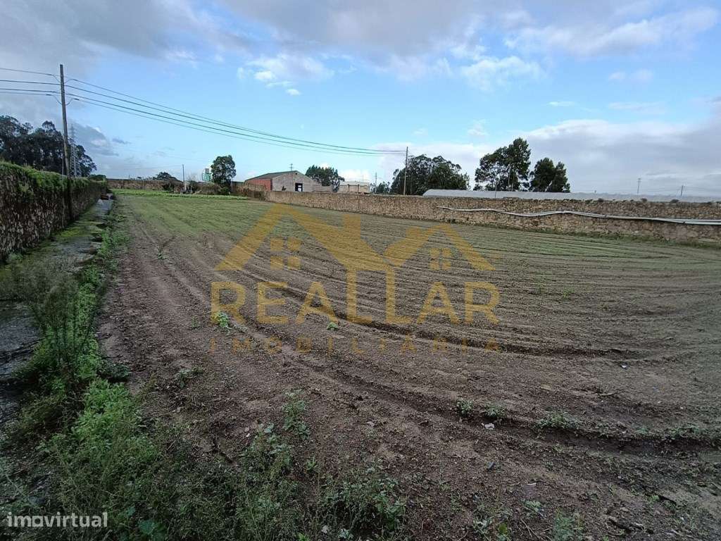 Terreno com 4600m2 para construção em Argivai - Póvoa de Varzim-6