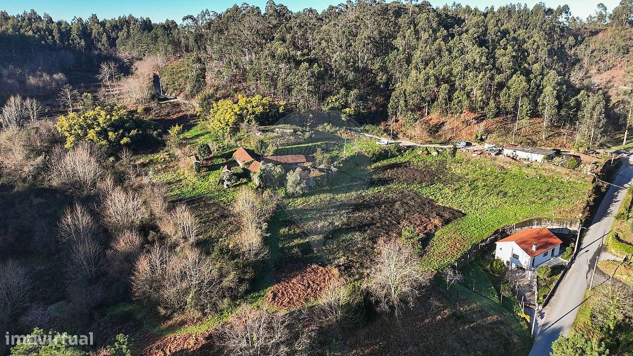 Quinta  para venda-21