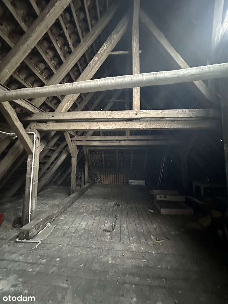 Reprezentacyjna kamienica  przy ul. Chełmińskiej w Toruniu-15