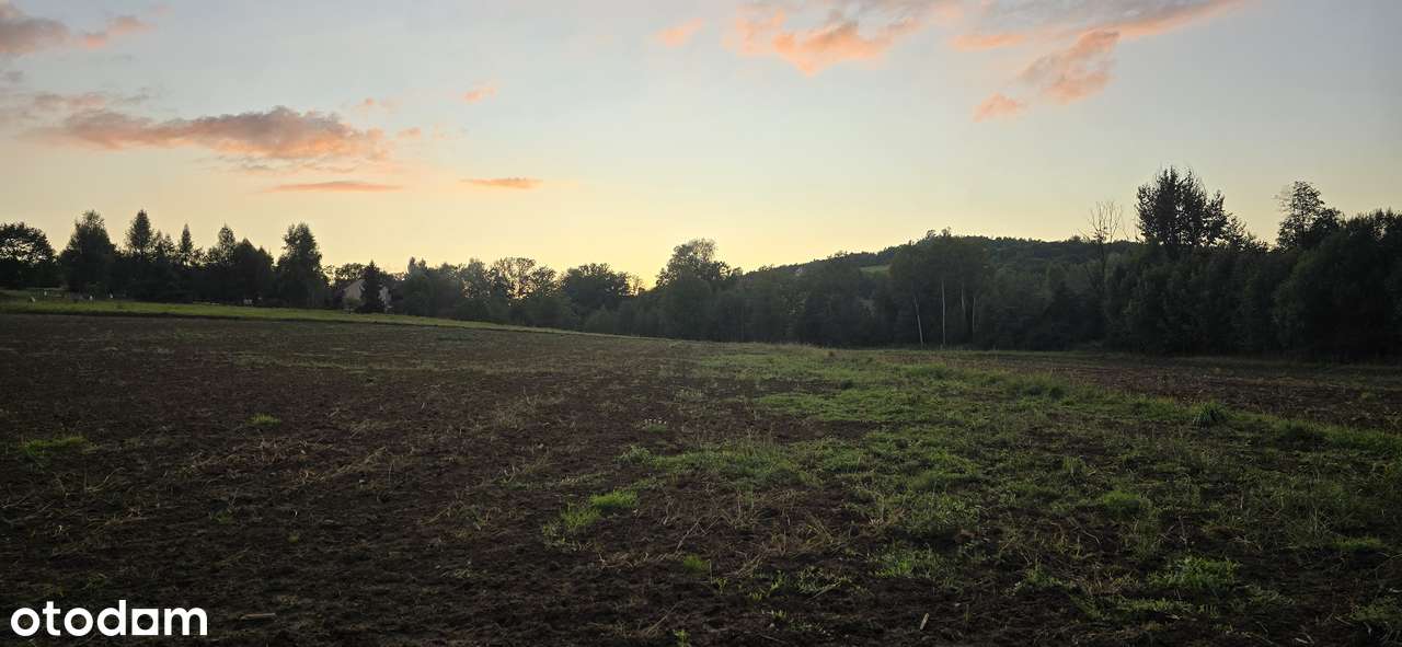 Działka w bezpośrednim sąsiedztwie Lanckorony - Pełny obrazek: 5/5