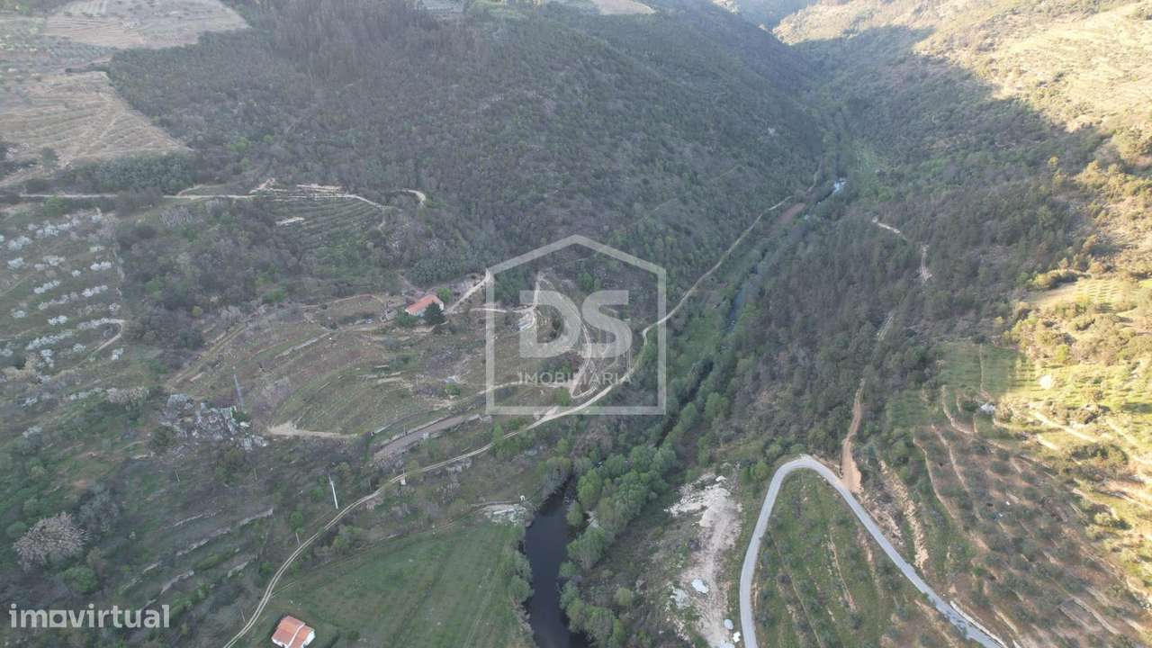 Quinta  Venda em Várzea de Abrunhais,Lamego-14
