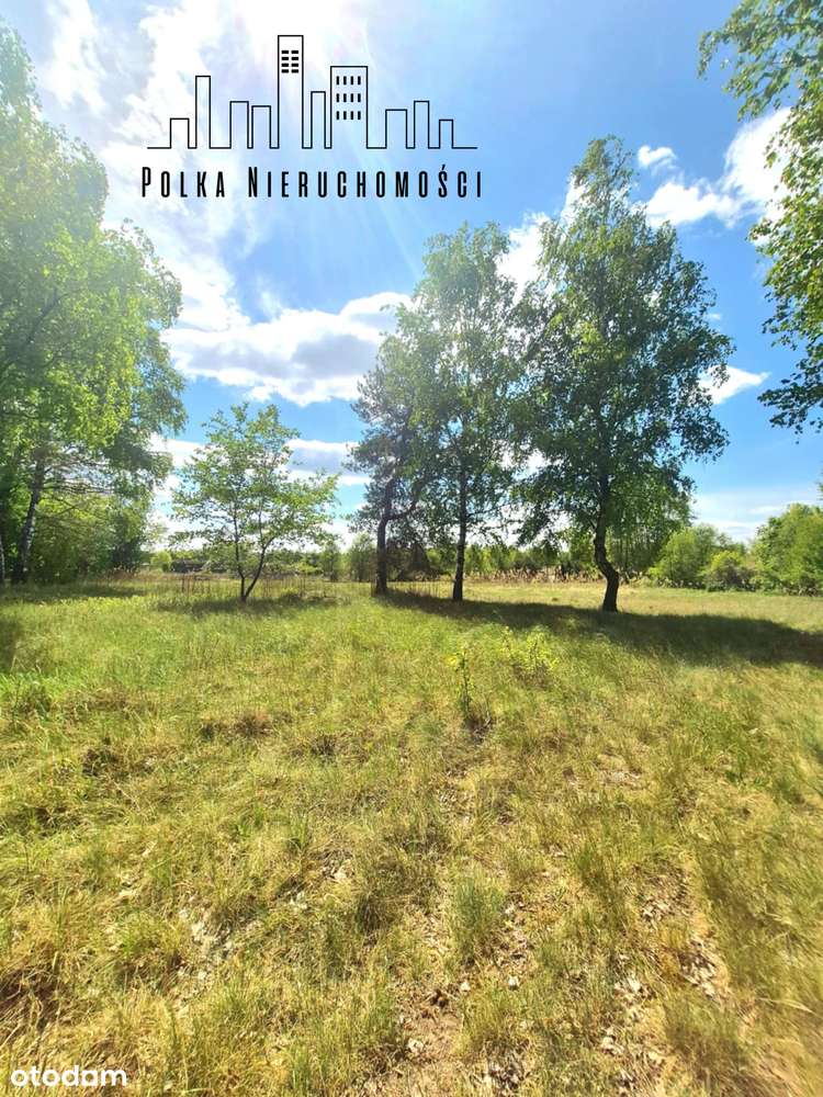 Wśród natury - las.. łąki.. i szybki dojazd do Torunia i Bydgoszczy-1