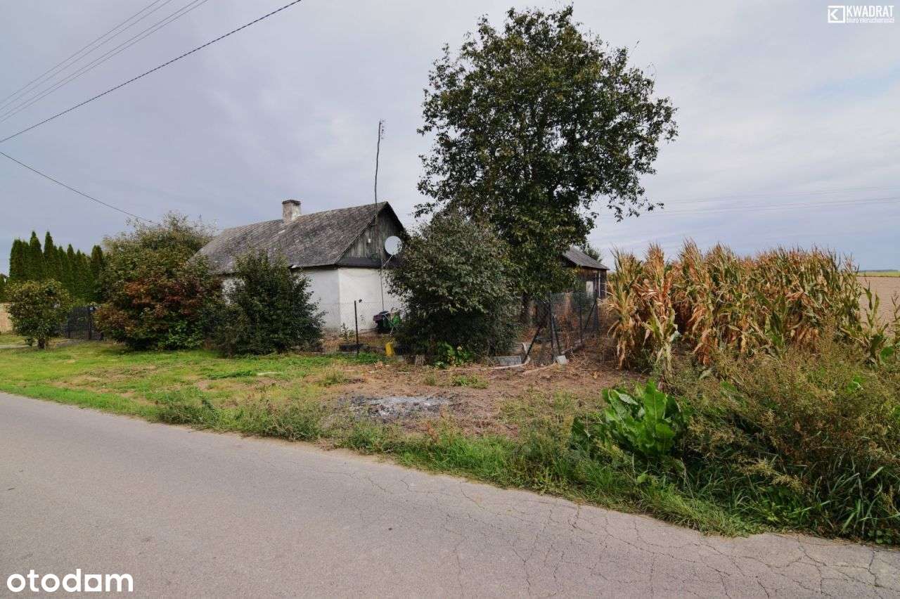 Działka budowlana o pow. 41 ar/Matczyn - Pełny obrazek: 5/5