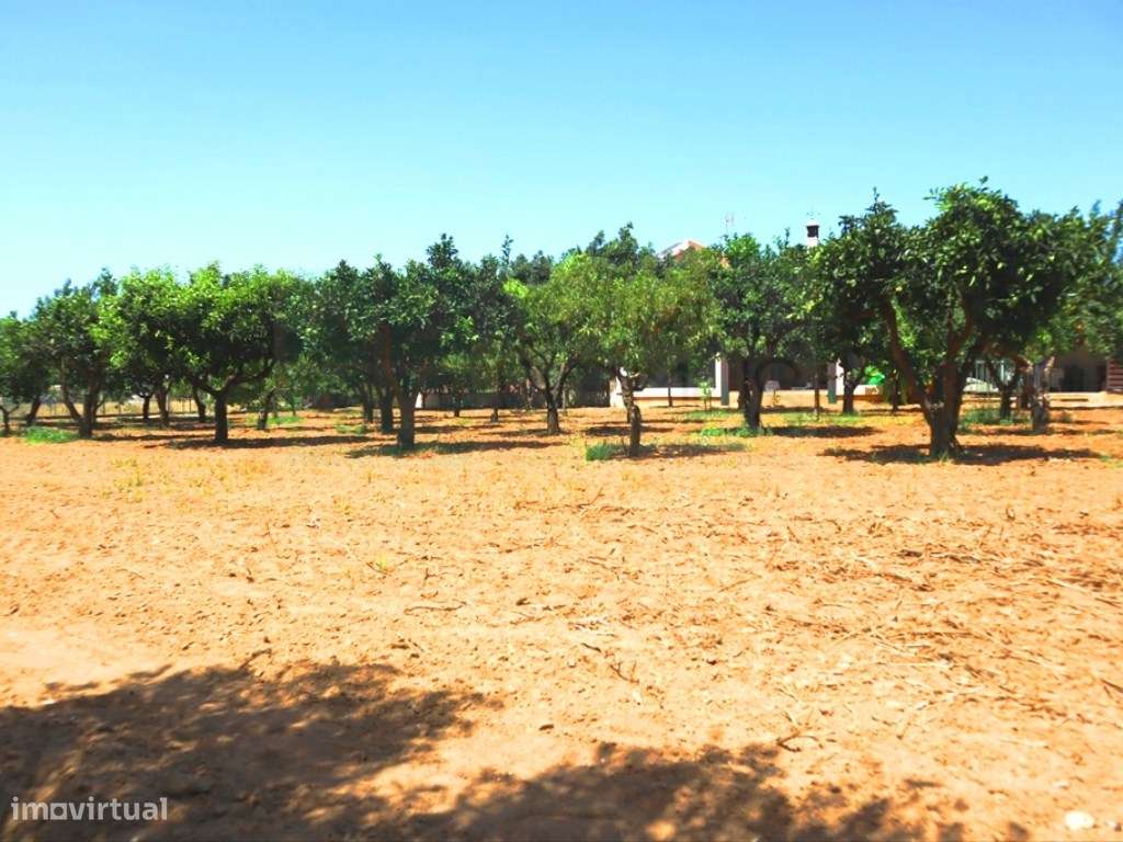 Quinta T4, em Luz de Tavira-48