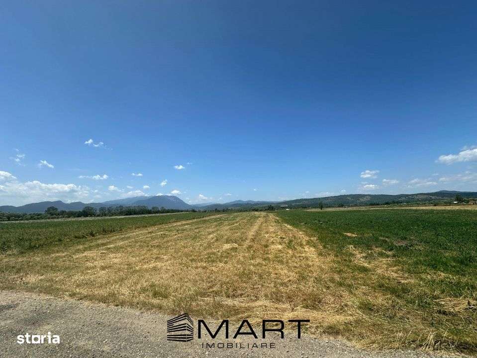 Teren 5000 mp Glajerie, zona Rasnov - Imagine principală: 2/7