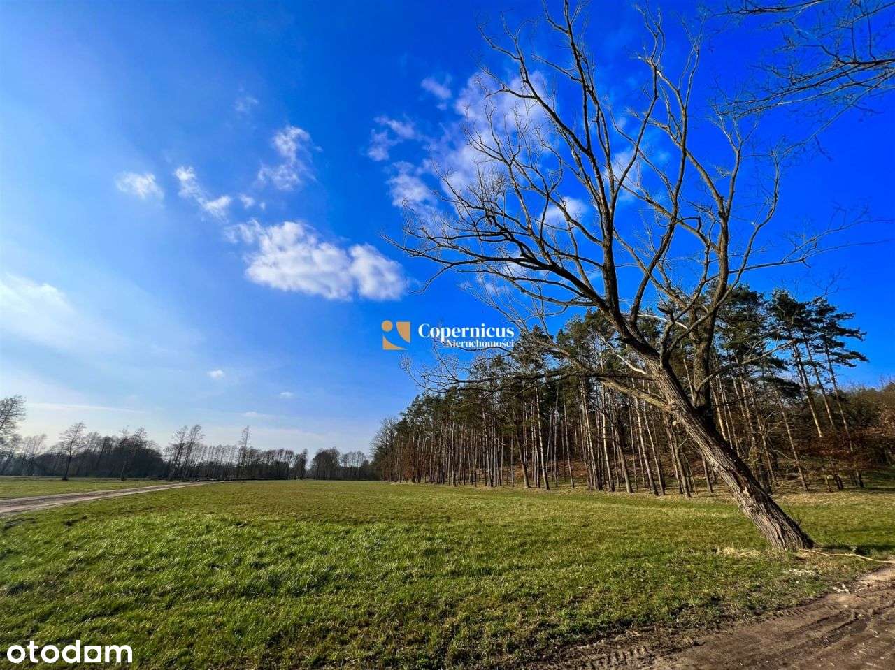 Działki na granicy Rozgart a Górska. Bez prowizji - Pełny obrazek: 5/7