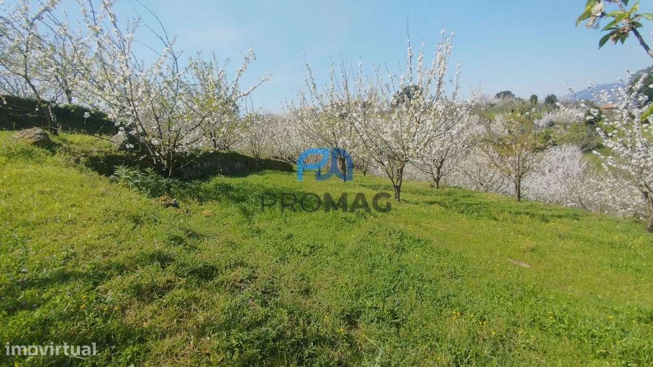 Quinta do Valado- Excelente Investimento em Resende-5