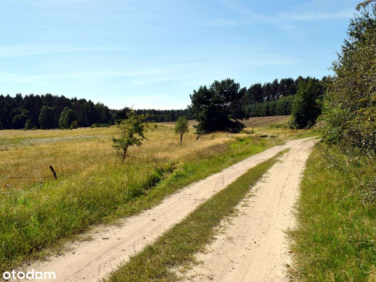 Działka siedliskowa - Ostroróg - Pełny obrazek: 5/17