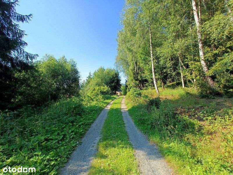 Os. Kozińce | duży, cz. budowlany | widokowy teren-6