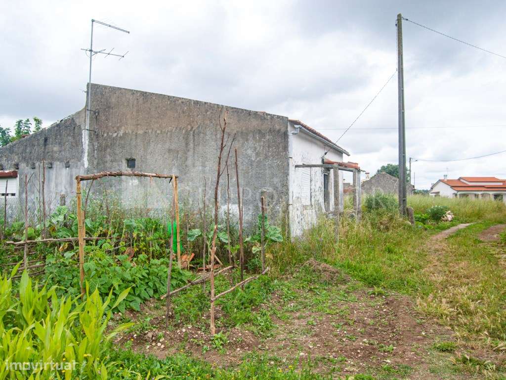 Moradia para recuperar com poço de água e luz | Alqueidão - Grande imagem: 4/16