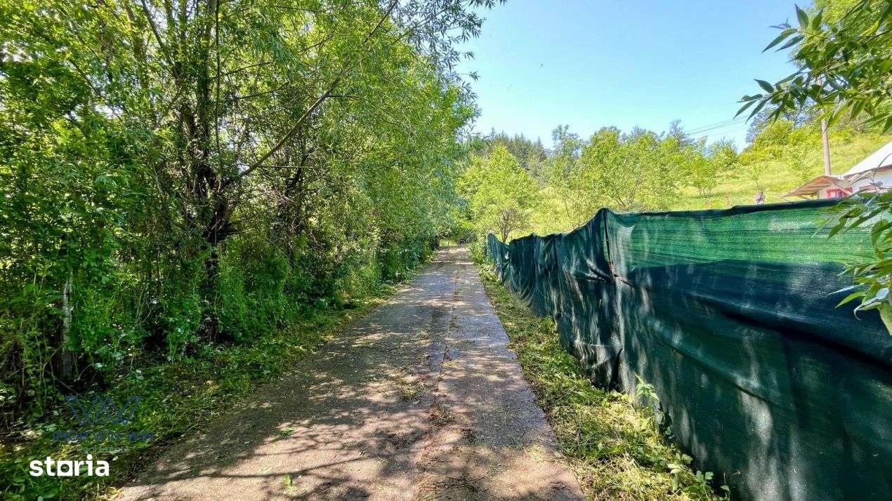 Casa Vacanta Babana!-7