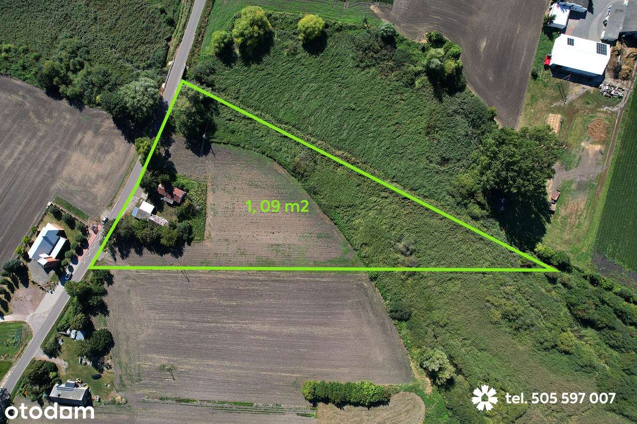 Siedlisko z 1-hektarową działką na Kujawach, blisko Włocławka - Pełny obrazek: 4/17