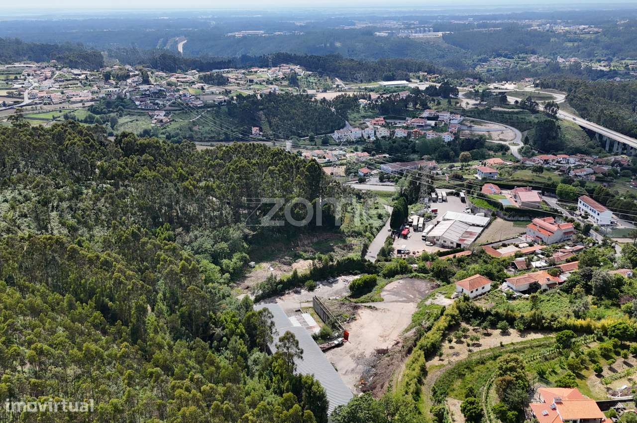 Armazéns | Escritório | 3,7 ha | Oliveira de Azeméis - Grande imagem: 5/42