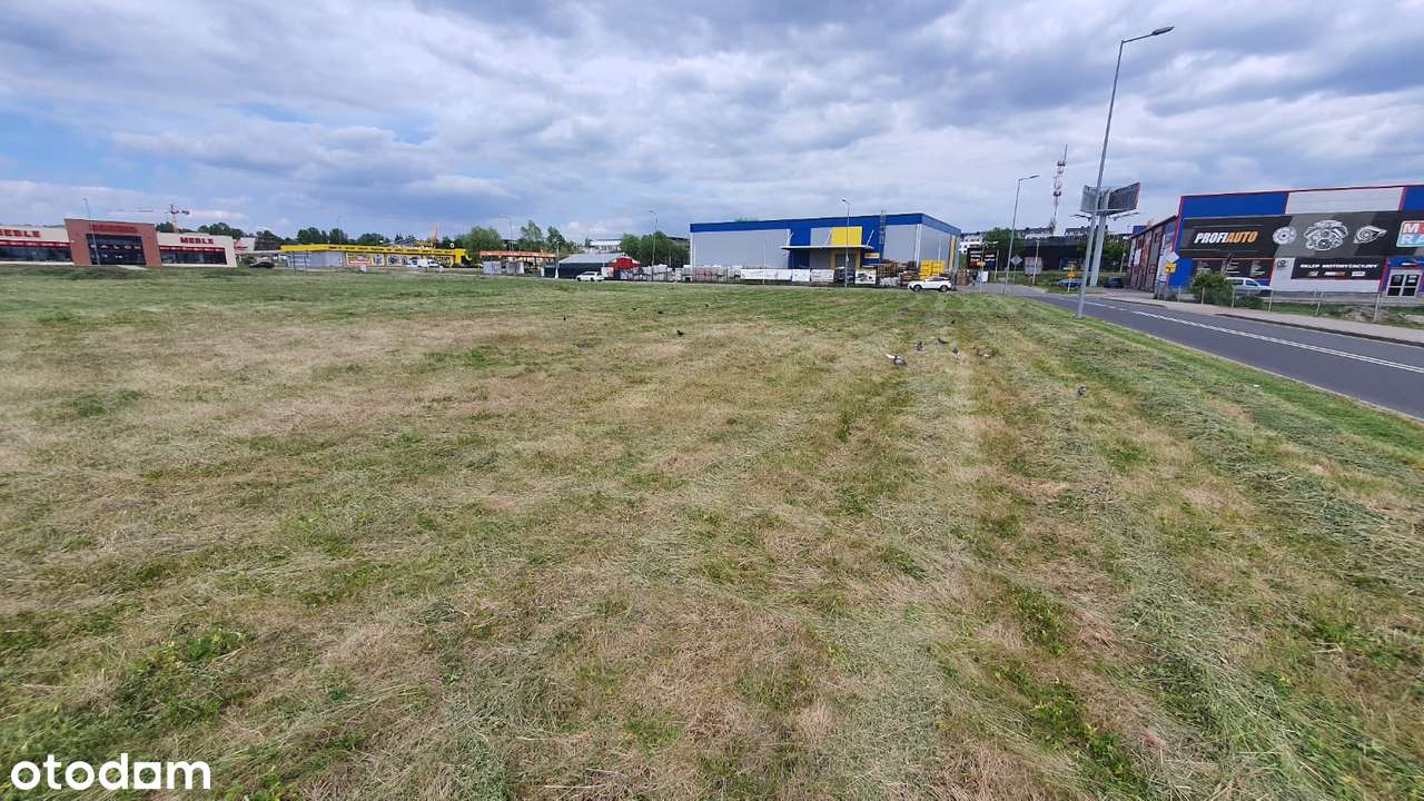 Polkowice - działka 75 a na sprzedaż - Pełny obrazek: 4/9