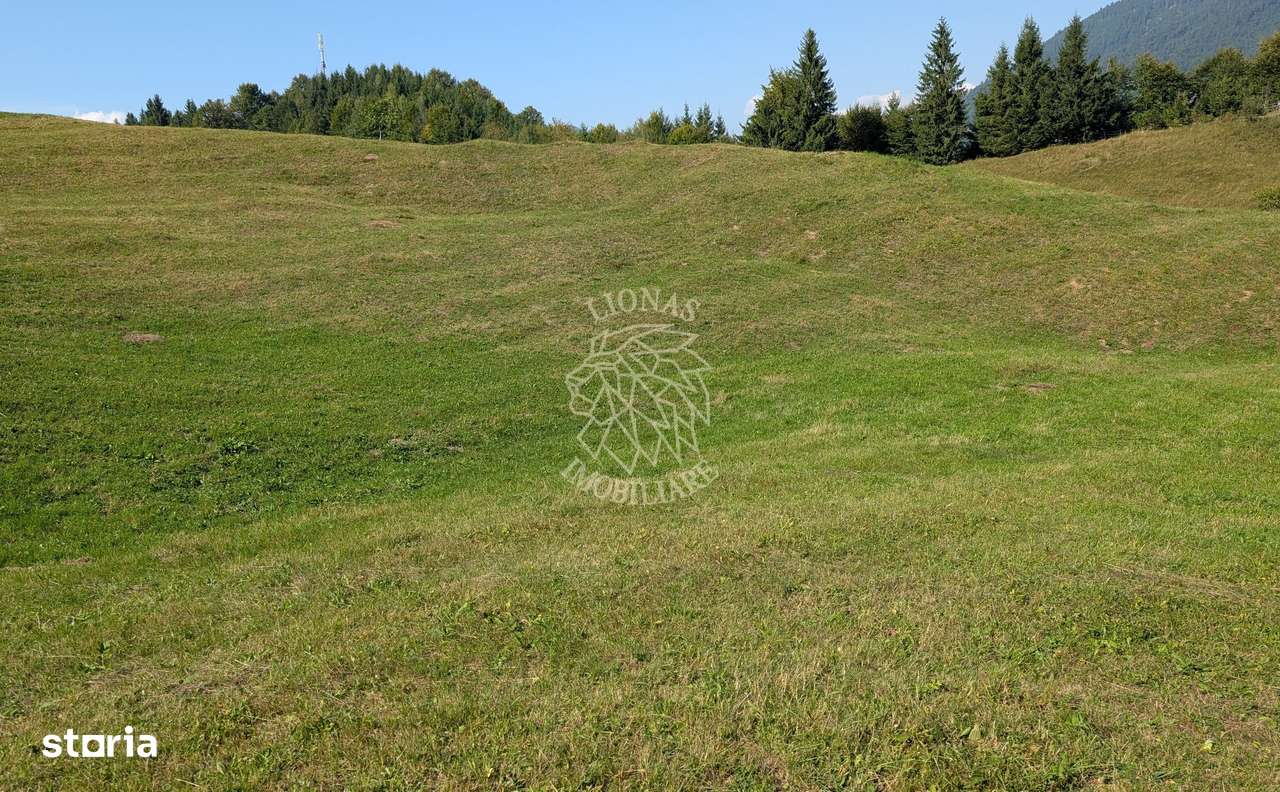 Teren intravilan 500 mp cu utilitati-ideal cabana, investitie-Colibita - Imagine principală: 2/3