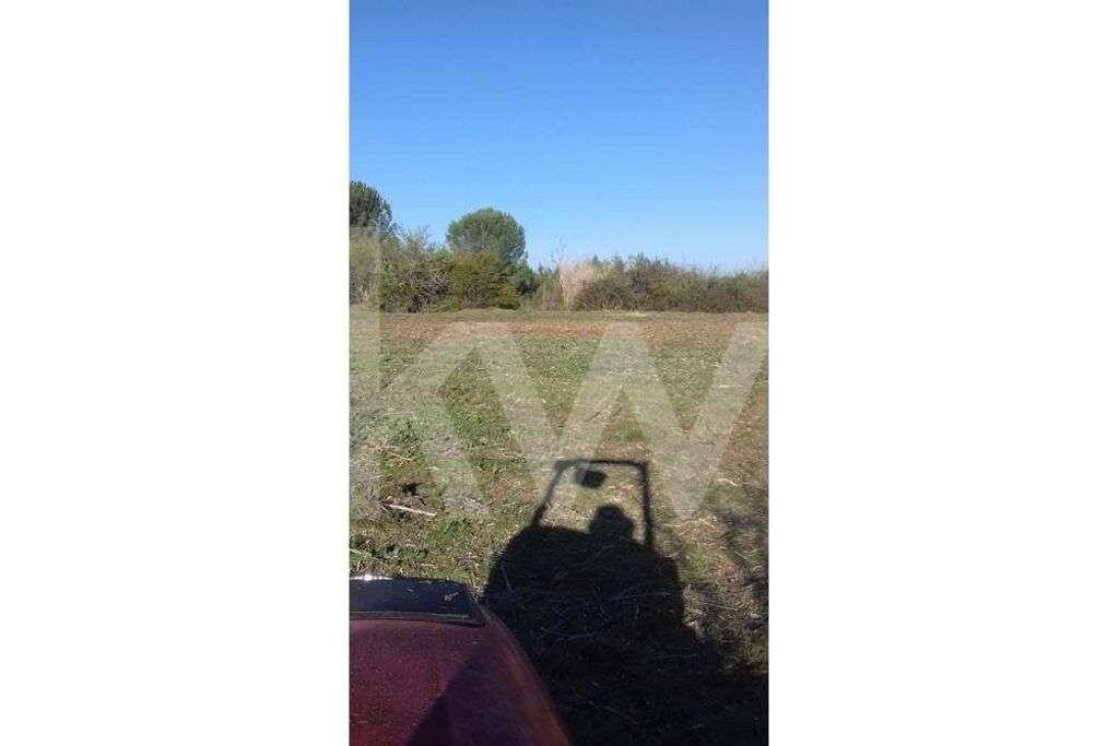 Terreno Rústico em Cantanhede - Grande imagem: 2/4