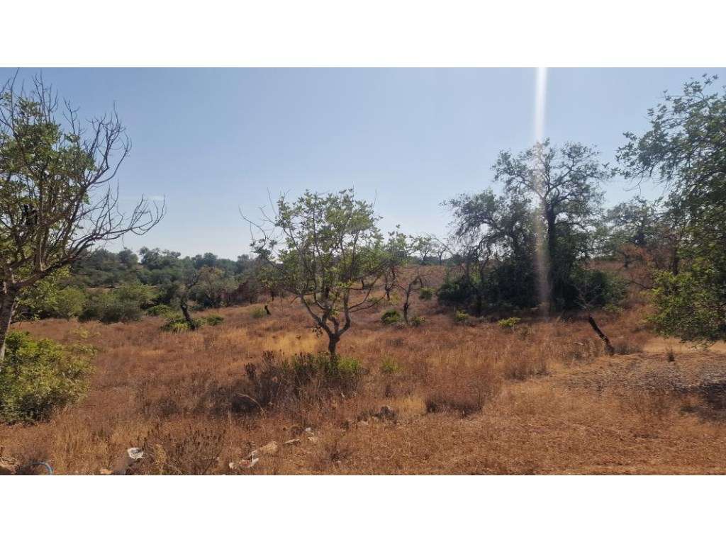 Lote de Terreno com Projeto Aprovado para Moradia V4+1, Vale Covo, ... - Grande imagem: 5/31