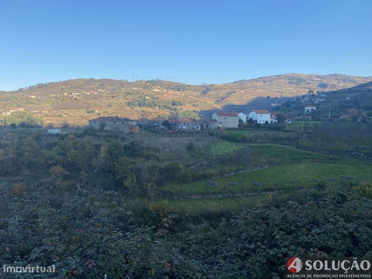 Quintinha com Casa - Próximo ao Douro - Grande imagem: 4/10