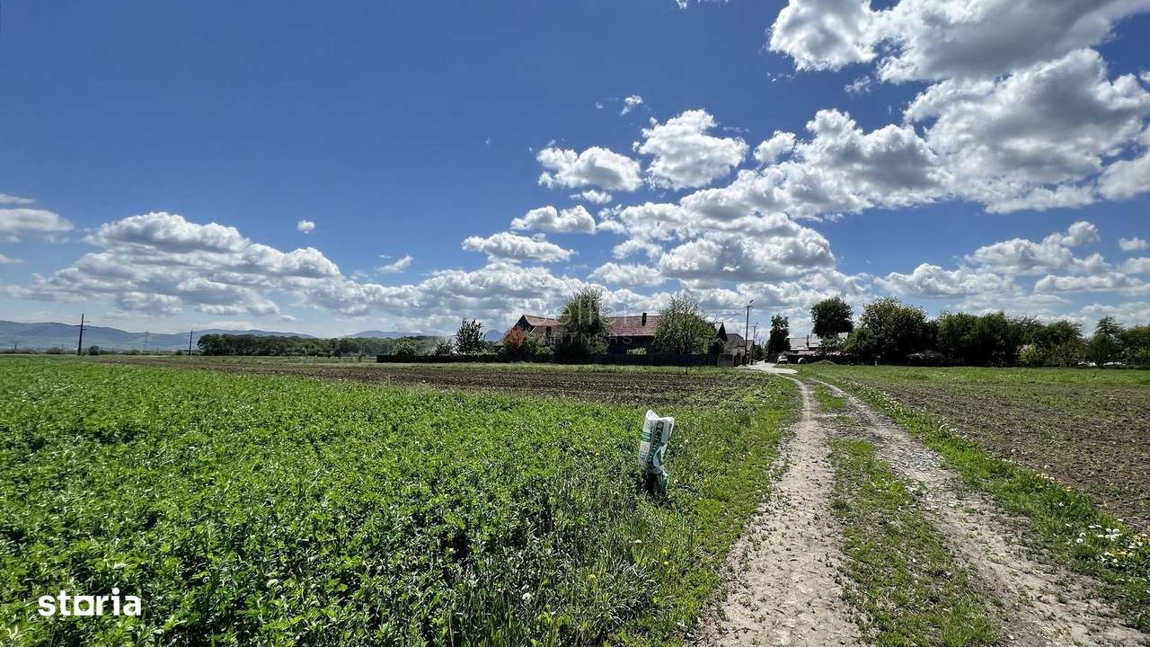 Teren intravilan Zona Metropolitana Brasov - Imagine principală: 4/13