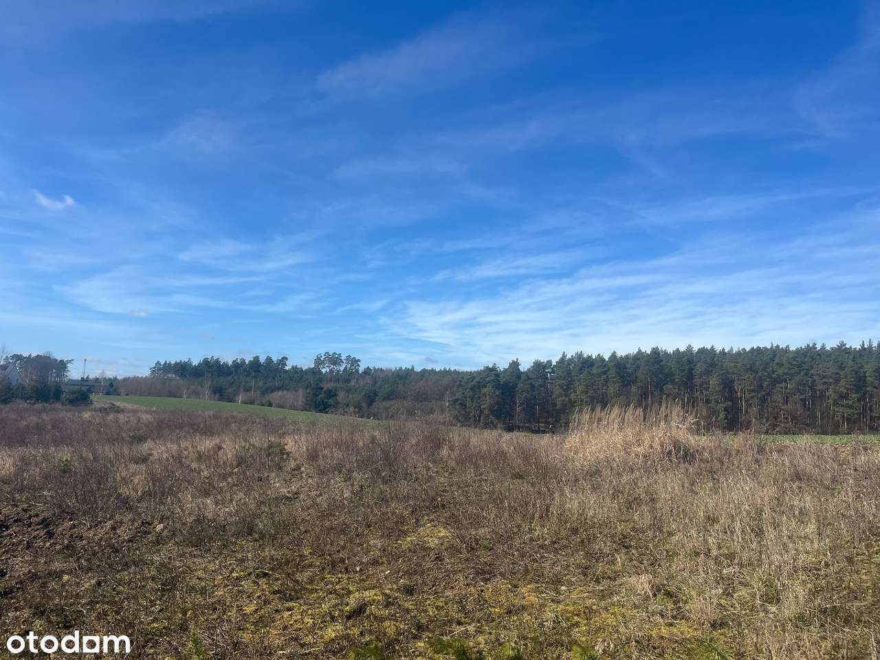 Działka budowlana 95,00 zł/m2 Starogard Gdański - Kolincz - Pełny obrazek: 5/7