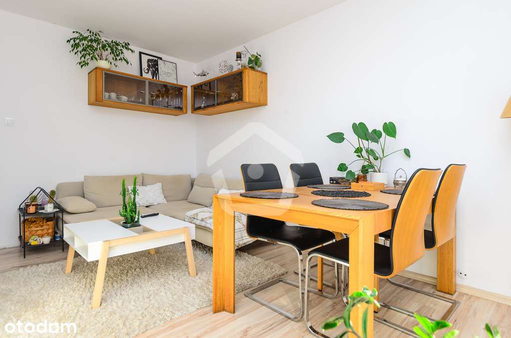 2 niezależne pokoje, jasna duża kuchnia - zadbane - Pełny obrazek: 1/14