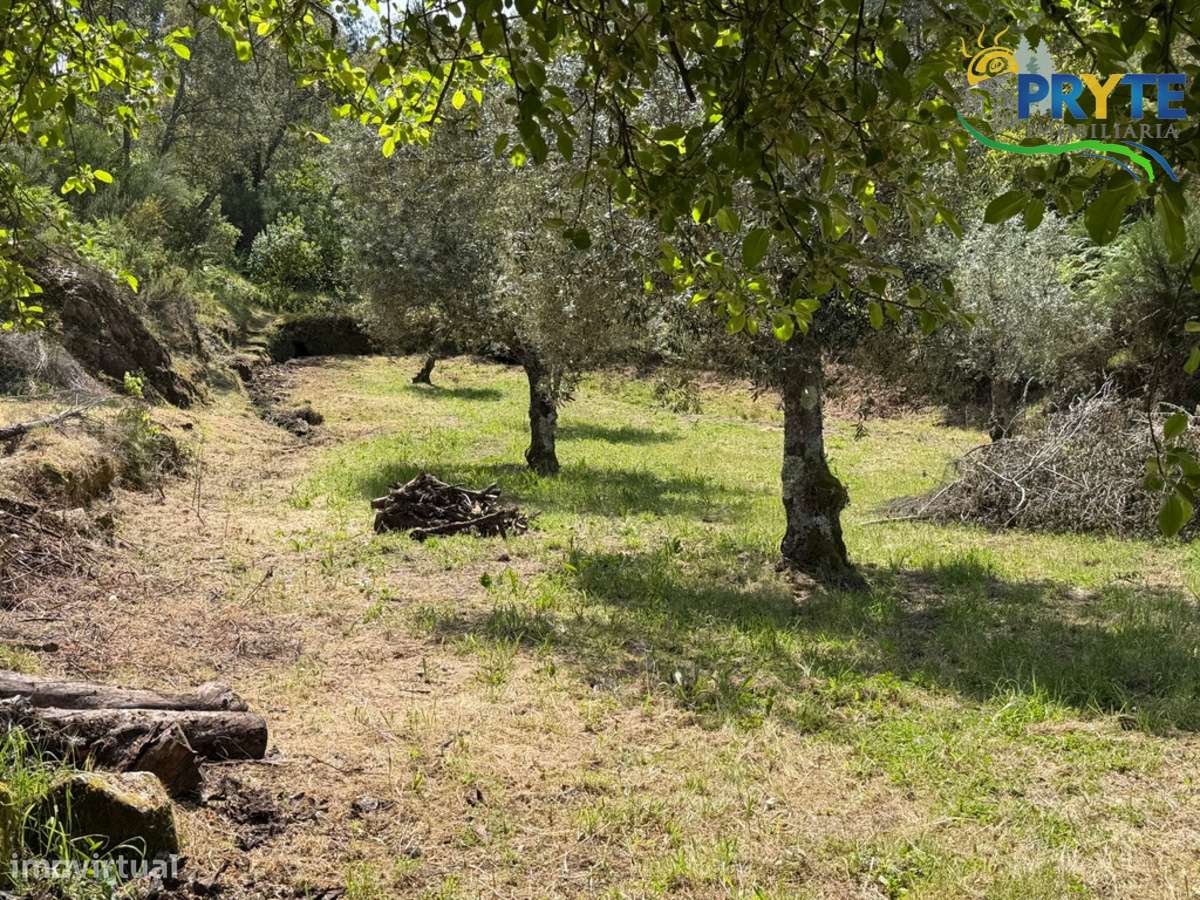 Terreno com uma ruína não registada a 6 quilómetros da Sertã-37