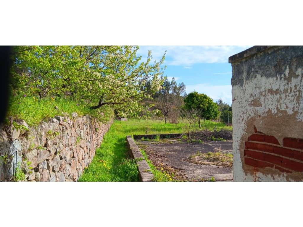 Terreno rustico com Construção Rural em aldeia a 5 minutos da vila ... - Grande imagem: 4/22