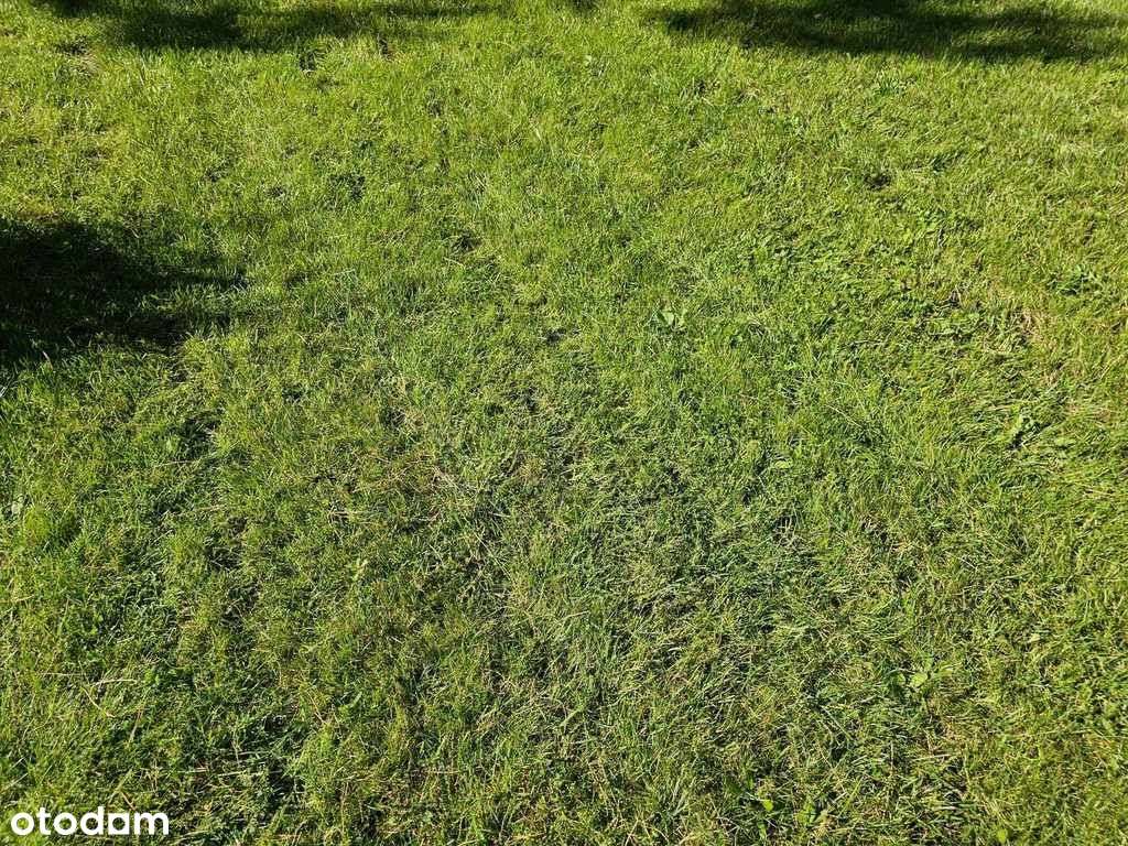 Mpzp Załatwione dokumenty do zakupu Media !-0