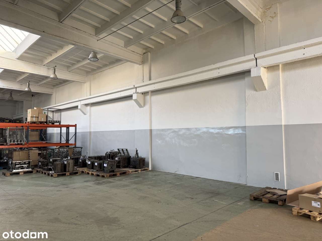 Hala 1300 m2 produkcyjna magazynowa + nowe biura z zapleczem socjalnym - Pełny obrazek: 3/16