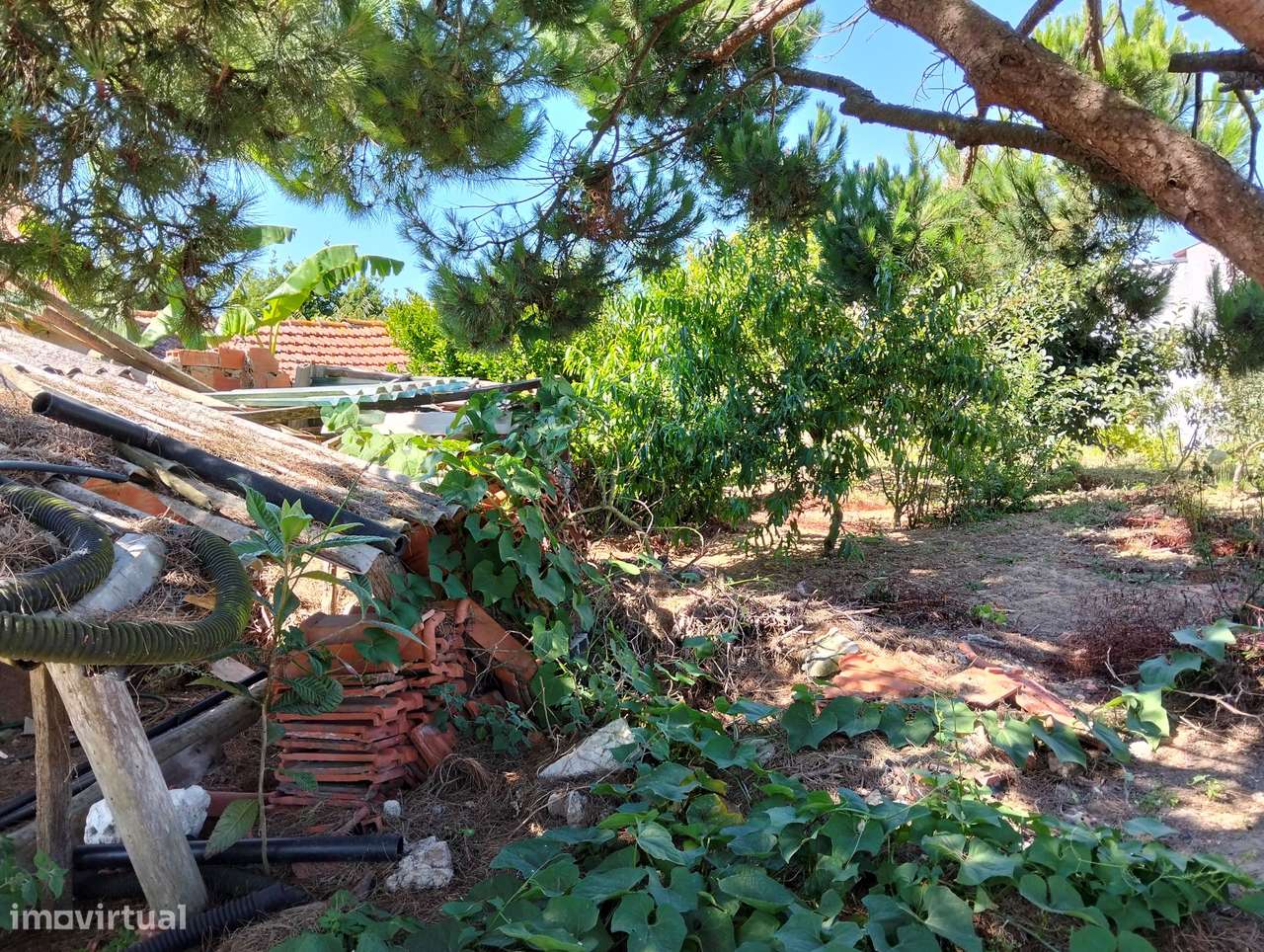 Moradia com terreno c/2 artigos Casal Jorge Dias -Alcobaça-22
