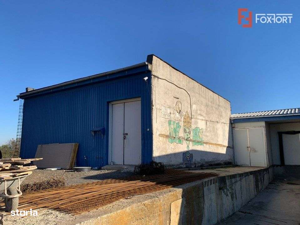 COMISION 0% Hala Industriala 500 mp cu Spatiu de Birou 200 mp in Buzia - Imagine principală: 3/14