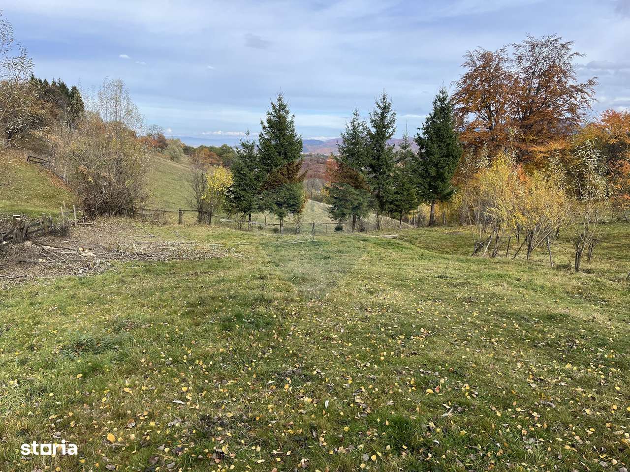 Teren de Vis în Bran – 1000mp Plat, Liniște Absolută și Aer Curat - Imagine principală: 5/20