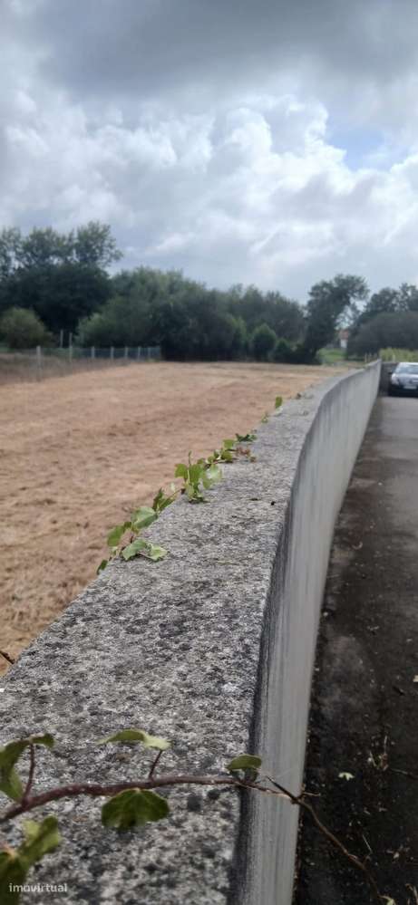 Terreno Exclusivo na Murtosa – 2.025m² de Potencial e Elegância - Grande imagem: 4/13