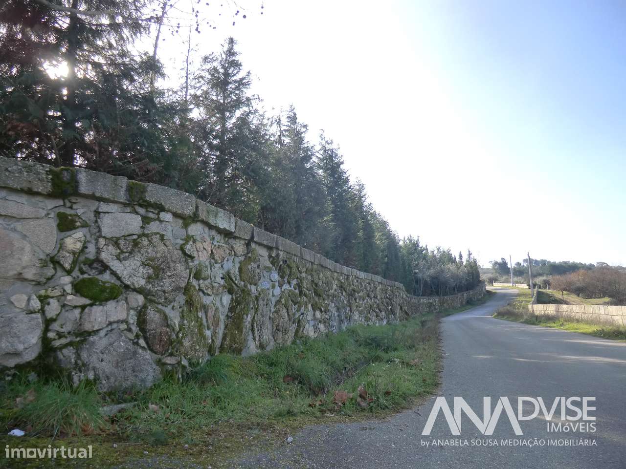 Quinta  Venda em Mangualde, Mesquitela e Cunha Alta,Mangualde - Grande imagem: 2/14